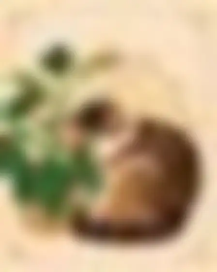 Islamic Geometric Resting Cat — AI image prompt sample