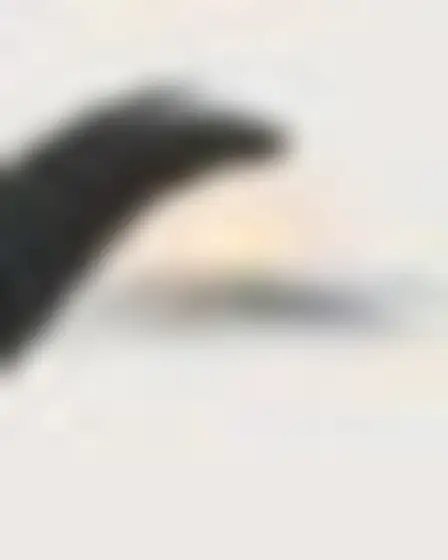 A professional fine art prompt: speed blur sweep mountain range, long-exposure motion blur of a single black sweeping brush arc with feathered speed streaks on a pale ground. Optimised for GPT Image on a 2:3 canvas.