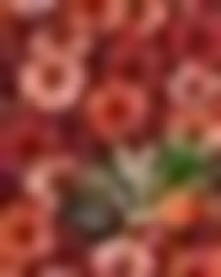 Copy-ready Stable Diffusion XL prompt for a botanical leaf pattern resting cat (fine art). Dense tonal botanical pattern of overlapping fan-shaped leaves in burgundy, rust and tan with a layered watercolor feel, with lighting, materials, camera, angle and composition details for a 4:5 image.