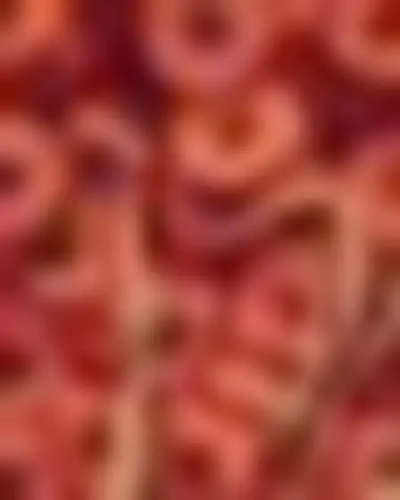 A professional conceptual art prompt: botanical leaf pattern wildflower meadow, dense tonal botanical pattern of overlapping fan-shaped leaves in burgundy, rust and tan with a layered watercolor feel. Optimised for Flux 1.1 Pro on a 2:3 canvas.