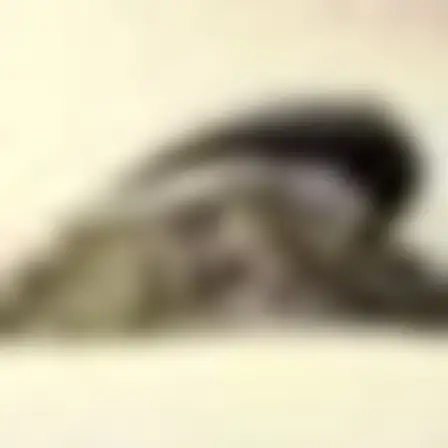 A professional conceptual art prompt: speed blur sweep hillside village, long-exposure motion blur of a single black sweeping brush arc with feathered speed streaks on a pale ground. Optimised for Midjourney v7 on a 1:1 canvas.