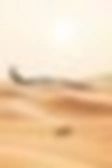 Speed Blur Sweep Desert Dunes — AI image prompt sample