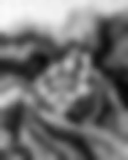 A professional digital painting prompt: monochrome fluid ink hillside village, black and white fluid ink art with marbled ripples, smoky gradients and soft liquid swirls. Optimised for GPT Image on a 2:3 canvas.
