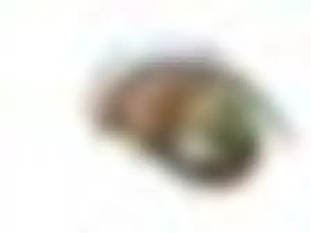 A professional conceptual art prompt: speed blur sweep resting cat, long-exposure motion blur of a single black sweeping brush arc with feathered speed streaks on a pale ground. Optimised for Midjourney v7 on a 4:3 canvas.