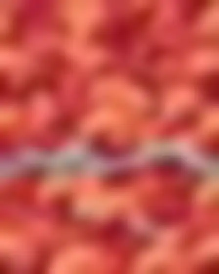 Botanical Leaf Pattern Ocean Waves — AI image prompt sample