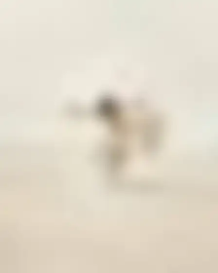 Digital Painting AI image prompt for a misty minimal landscape dancer in motion: minimal abstract landscape in washed grey and warm beige with soft horizontal bands, faint distant forms and plaster texture. Written for Flux 1.1 Pro on a 4:5 canvas, with lighting, materials, lens, angle and composition direction included.