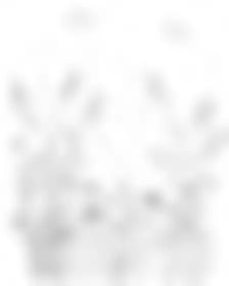 Fine Art AI image prompt for a continuous line art wildflower meadow: minimalist continuous single-line black pen drawing with overlapping contours and confident thin strokes on bright off-white. Written for GPT Image on a 4:5 canvas, with lighting, materials, lens, angle and composition direction included.