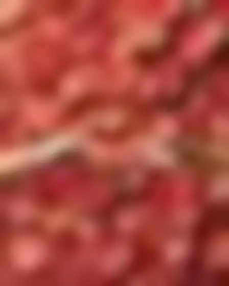 Botanical Leaf Pattern Reaching Hands — AI image prompt sample