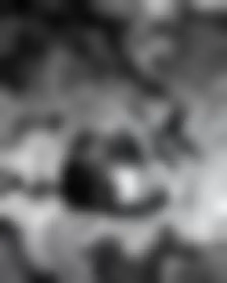 A professional fine art prompt: monochrome fluid ink resting cat, black and white fluid ink art with marbled ripples, smoky gradients and soft liquid swirls. Optimised for Stable Diffusion XL on a 4:5 canvas.