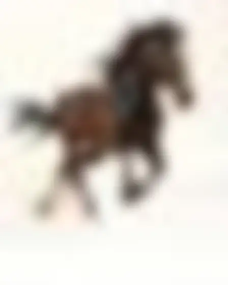 A professional conceptual art prompt: speed blur sweep galloping horse, long-exposure motion blur of a single black sweeping brush arc with feathered speed streaks on a pale ground. Optimised for Flux 1.1 Pro on a 4:5 canvas.