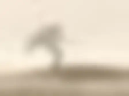 Misty Minimal Landscape Lone Tree — AI image prompt sample