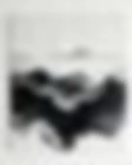 A professional conceptual art prompt: monochrome fluid ink mountain range, black and white fluid ink art with marbled ripples, smoky gradients and soft liquid swirls. Optimised for Flux 1.1 Pro on a 2:3 canvas.