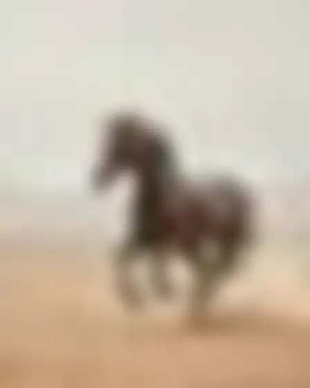 Copy-ready Stable Diffusion XL prompt for a misty minimal landscape galloping horse (fine art). Minimal abstract landscape in washed grey and warm beige with soft horizontal bands, faint distant forms and plaster texture, with lighting, materials, camera, angle and composition details for a 4:5 image.