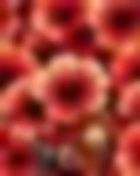Digital Painting AI image prompt for a botanical leaf pattern fruit still life: dense tonal botanical pattern of overlapping fan-shaped leaves in burgundy, rust and tan with a layered watercolor feel. Written for Flux 1.1 Pro on a 4:5 canvas, with lighting, materials, lens, angle and composition direction included.