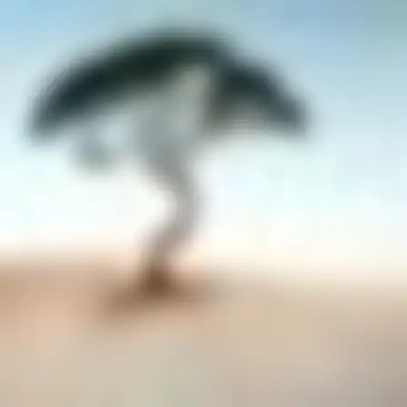 A professional conceptual art prompt: speed blur sweep lone tree, long-exposure motion blur of a single black sweeping brush arc with feathered speed streaks on a pale ground. Optimised for Midjourney v7 on a 1:1 canvas.