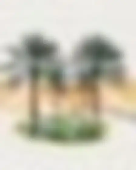Copy-ready Imagen 4 prompt for a translucent watercolor palm oasis (conceptual art). Layered translucent organic watercolor shapes in grey, olive, peach and ink black with soft overlaps and bleeding edges, with lighting, materials, camera, angle and composition details for a 1:1 image.